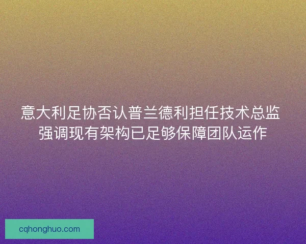意大利足协否认普兰德利担任技术总监 强调现有架构已足够保障团队运作