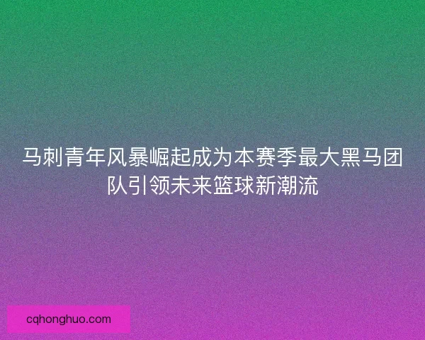 马刺青年风暴崛起成为本赛季最大黑马团队引领未来篮球新潮流