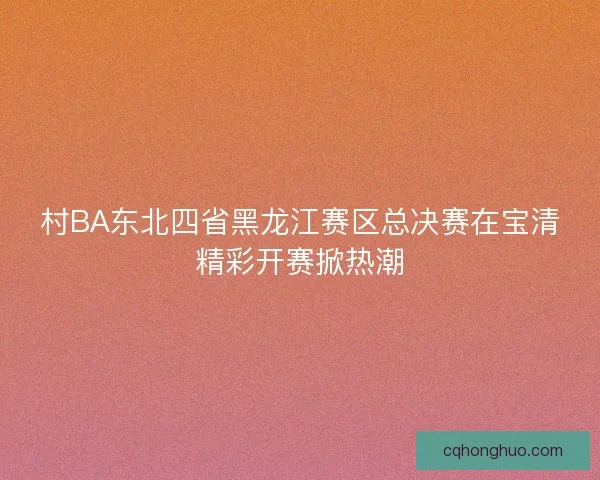 村BA东北四省黑龙江赛区总决赛在宝清精彩开赛掀热潮